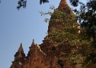 Birmania 2014 2015 0567  Old Bagan, i templi