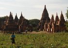 Birmania 2014 2015 0824