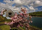 DSC01859