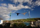DSC01888
