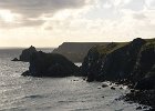 DSC02231