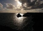 DSC02239