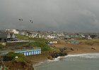 DSC02684
