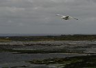 Irlanda 2013 0896