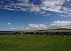 Irlanda 2013 0987