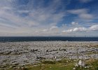 Irlanda 2013 1100