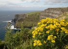 Irlanda 2013 1136
