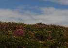 Irlanda 2013 2223