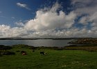 Irlanda 2013 2406
