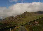Irlanda 2013 2960