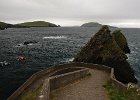 Irlanda 2013 3270  Verso il porto per le Blasket Islands
