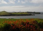 Irlanda 2013 3424