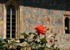 Romania Istanbul 2014 1755