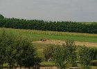 Romania Istanbul 2014 2063