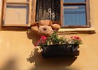 Romania Istanbul 2014 2933