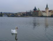 2003 2004 Praga CK Vienna 053