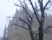 2003 2004 Praga CK Vienna 241