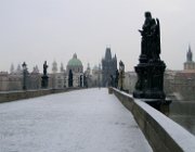 2003 2004 Praga CK Vienna 297