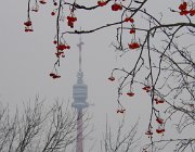 2003 2004 Praga CK Vienna 569