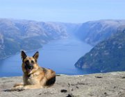 2003 Norvegia 030 filtered