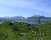 2003 Norvegia 034 filtered