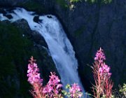 2003 Norvegia 047 filtered