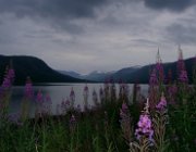 2003 Norvegia 090 filtered