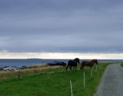 2003 Norvegia 093 filtered