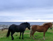 2003 Norvegia 094 filtered