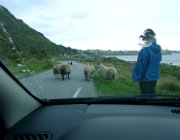 2003 Norvegia 096 filtered