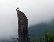 2003 Norvegia 101 filtered