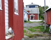 2003 Norvegia 106 filtered