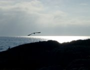 2003 Norvegia 161 filtered