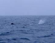 2003 Norvegia 193 filtered