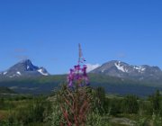 2003 Norvegia 198 filtered