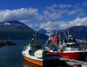 2003 Norvegia 202 filtered