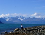 2003 Norvegia 203 filtered