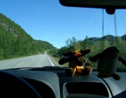 2003 Norvegia 208 filtered