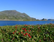 2003 Norvegia 213 filtered