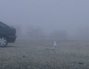 2003 Norvegia 222 filtered