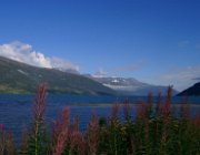 2003 Norvegia 234 filtered