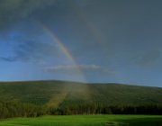 2003 Norvegia 238 filtered