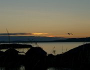 2003 Norvegia 242 filtered