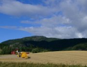 2003 Norvegia 254 filtered