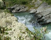 2003 Norvegia 257 filtered