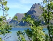 2004 Isole Lofoten 021