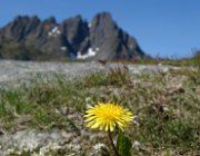 2004 Isole Lofoten 024