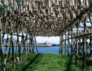 2004 Isole Lofoten 028