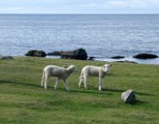 2004 Isole Lofoten 036