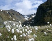 2004 Isole Lofoten 037